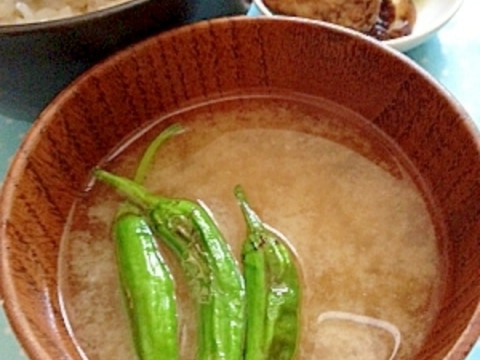 【日本食】簡単! 焼きししとうのお味噌汁